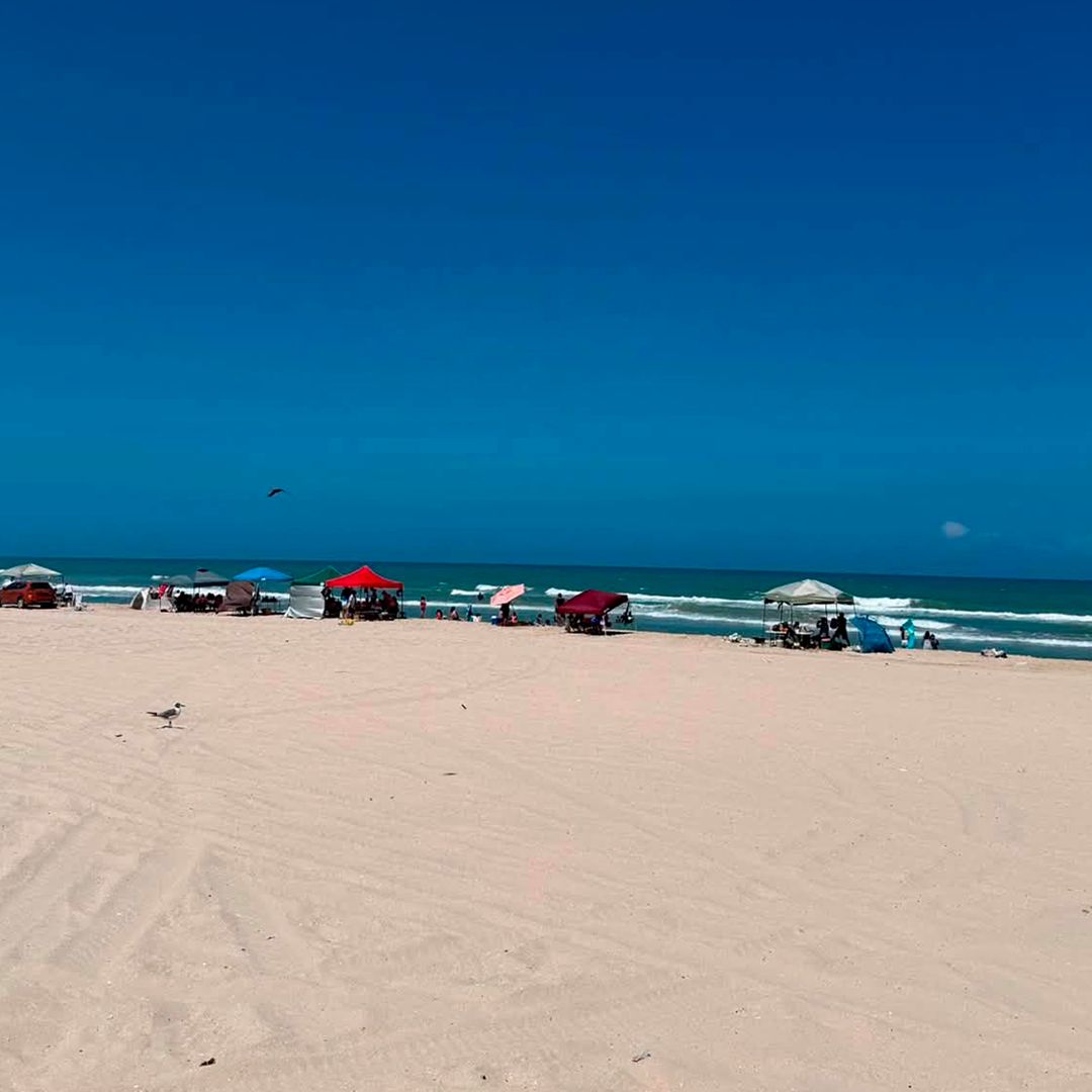 Mueren Cuatro Elementos de la Marina tras Caer a un Río en Soto la Marina, Tamaulipas